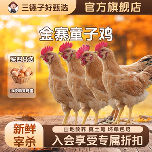 三德子好甄选金寨童子鸡农家散养生态土鸡公鸡跑山鸡新鲜宰杀鲜嫩