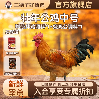 三德子好甄选 中号壮年大公鸡净重4.5-5.5斤农家散养土鸡新鲜鸡肉