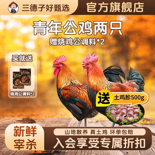 三德子好甄选 青年公鸡双只 散养生态鸡跑山鸡新鲜宰杀