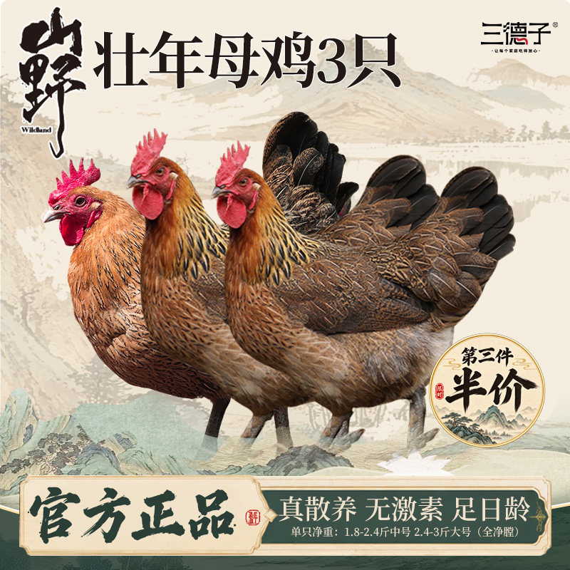 三德子好甄选【散养母鸡三只】家庭炖汤食材生鲜孕妇月子鸡汤