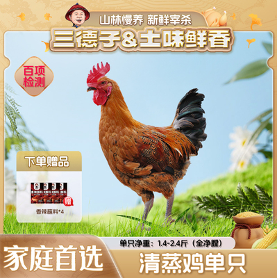 三德子好甄选 清蒸鸡 跑山鸡散养生态土鸡肉质鲜嫩农家散养