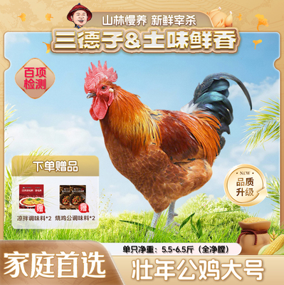 三德子好甄选 大号壮年大公鸡净重5.5-6.5斤农家散养土鸡新鲜鸡肉