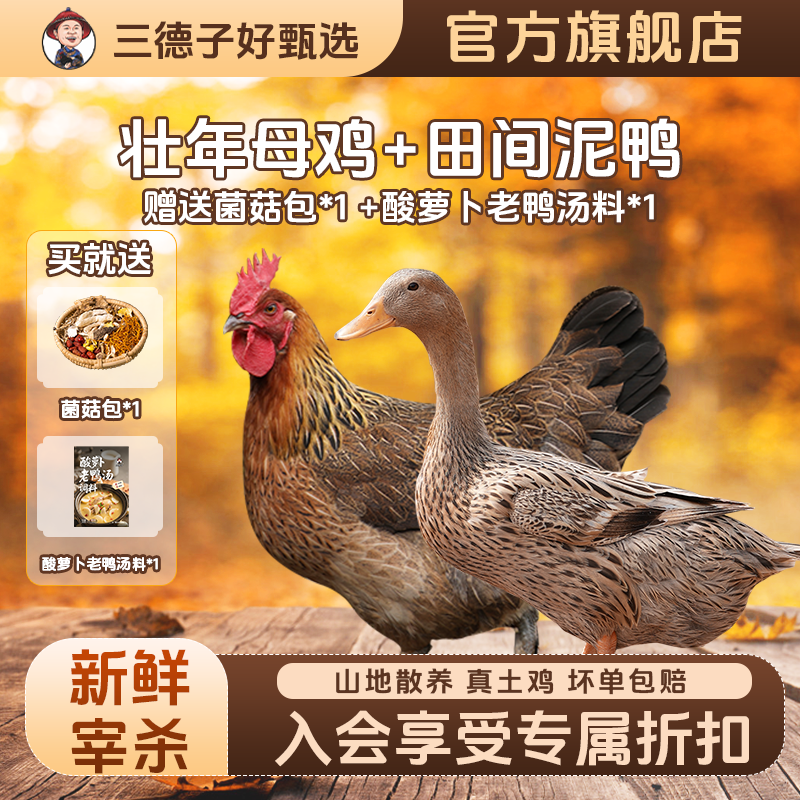 母鸡350天以上，鸭子500天以上！