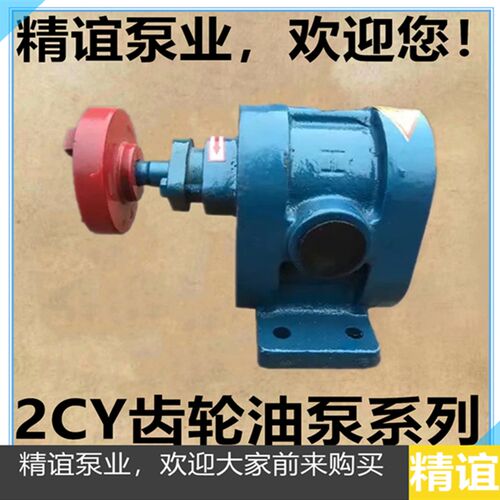 高温电动齿轮泵2CY2.1/2.5液压泵自吸泵齿轮油泵高压泵输送抽油泵