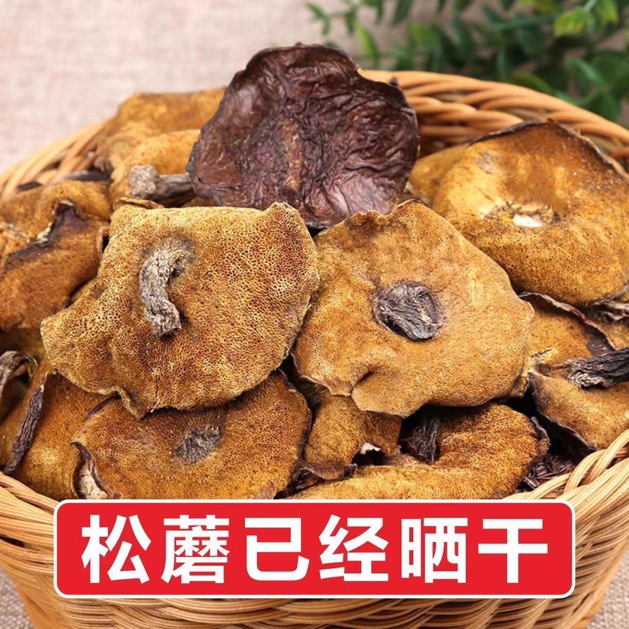 东北特产深山老林农家晾晒松蘑粘蛾子松蛾粘团子干货食用菌无干燥