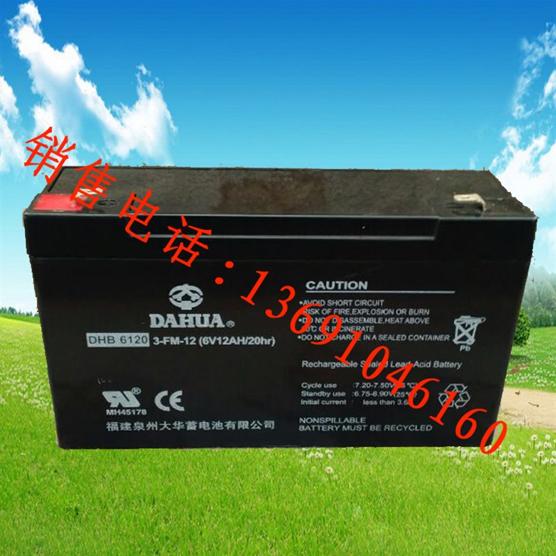 大华蓄电池DHB6120吊钩秤电瓶6V12AH/20hr儿童玩具车电子秤电瓶