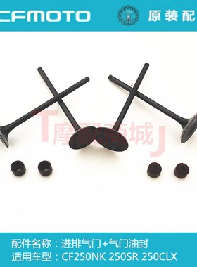 春风摩托车CF250NK进排气门CF250SR CLX系列气门油封原装正品配件
