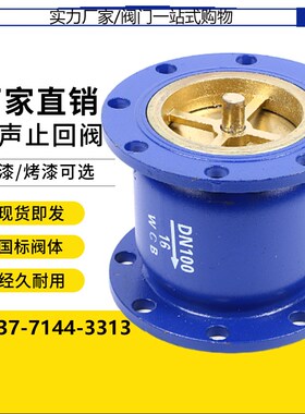 HC41X-16消音消声止回阀 法兰单向阀DN40 50 65 80 100 150 200寸