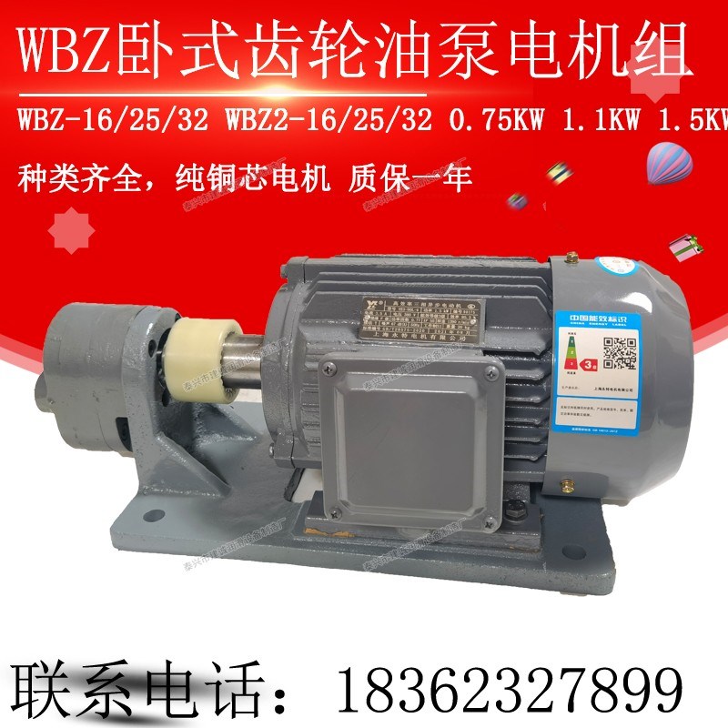 WBZ-16/25/20/32JZ卧式齿轮油泵电机组装置WBZ2-16/25/32 1.1KW