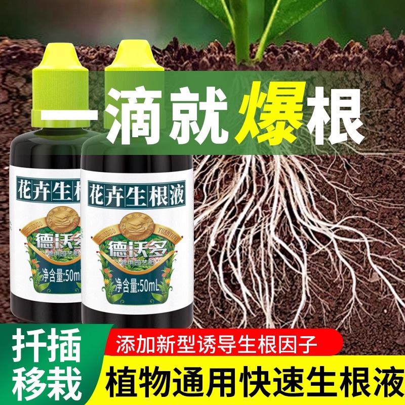 快速生根液植物通用花卉多肉扦插