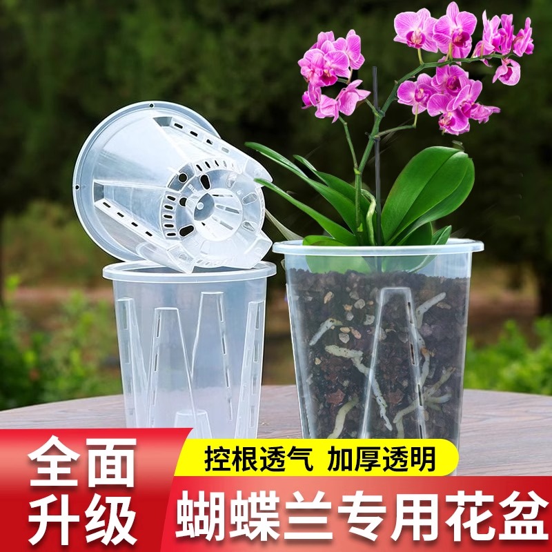 蝴蝶兰专用花盆透明控根塑料透气加厚海芋兰花高端青山花盆德沃多