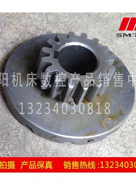 沈阳中捷摇臂钻床 Z3080×25 Z3063×25 离合器齿轮 67314 Z16