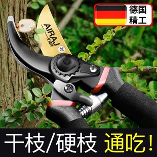 修枝剪园艺剪刀剪树枝专用剪刀园林修剪果树修枝花艺修花剪 德国款