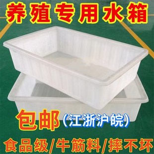 长方形加厚牛筋水箱塑料水箱水产养殖箱卖鱼养鱼箱牛筋盆大储水桶