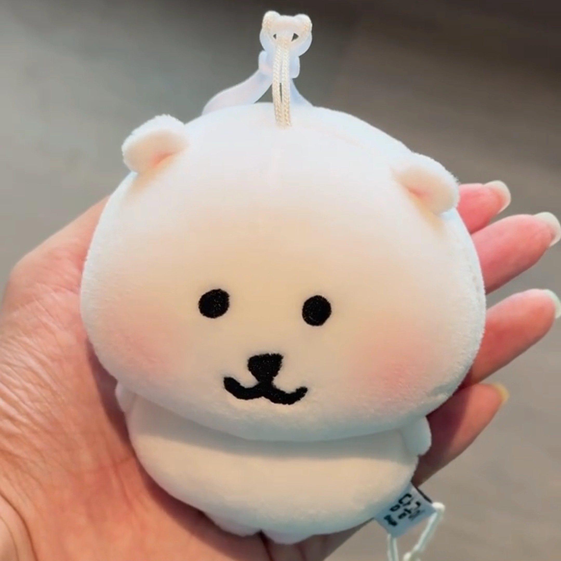 自嘲熊周边小奶肚萌哒可爱