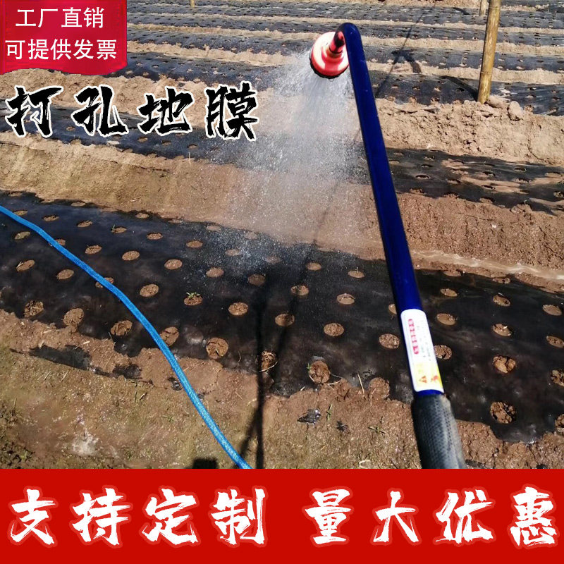 打孔地膜农用有孔塑料薄膜黑色除草保F温蔬菜树苗种菜种植白银黑