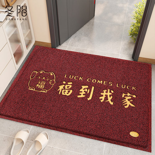 地垫入户门垫f进门大门口丝圈脚垫门外2024新款红色玄关进户门地
