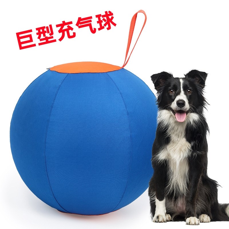 2024b款大号充气玩具球大狗自嗨训练边牧金毛萨摩阿拉斯加柴犬柯