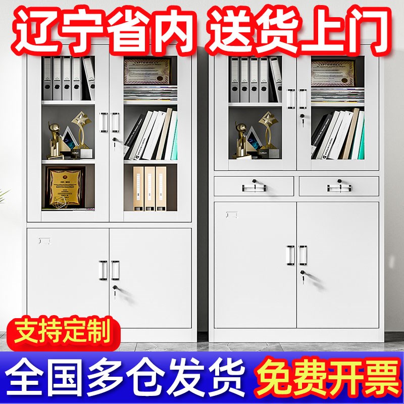 文件柜办公室资料柜铁皮收纳整理柜带锁会计财务凭证柜储物书柜