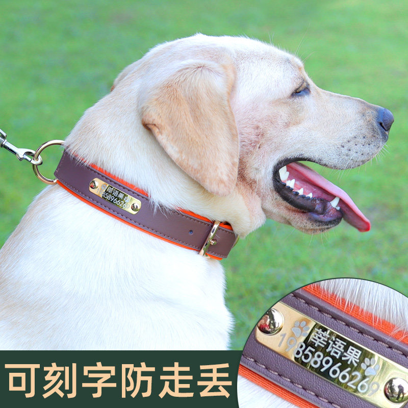 防丢刻字宠物狗狗项圈金毛拉布拉多中型大型犬狗脖圈颈.圈狗牌定
