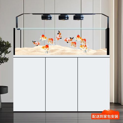 迪顺2025新款鱼缸原生野采极溪流缸超白玻璃底部过滤兰寿水族箱