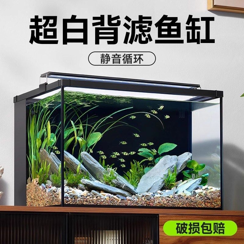 超白背滤鱼缸小型客厅生态养鱼桌面缸免换水懒Q人造景自循环水草