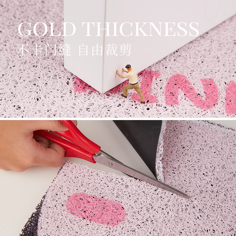 卡通入户门地垫门口进门脚垫家用防滑丝圈地毯除尘耐脏进户门地垫