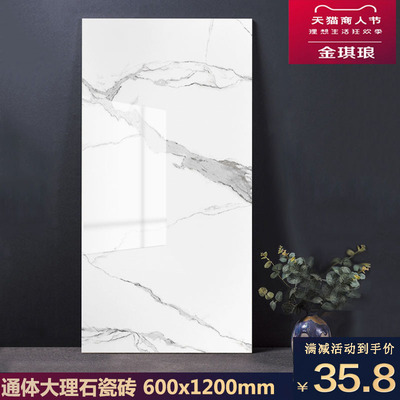 大板瓷砖600x1200客t厅地砖通体大理石鱼肚白墙砖简约电视背景墙