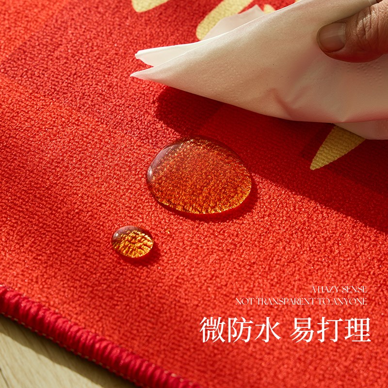 入户门口地垫2025新款喜庆入户门垫新房地毯进门玄关红色脚垫乔迁