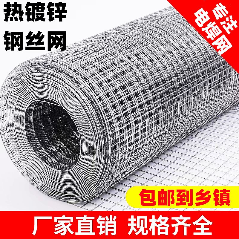 热镀锌铁丝网围栏养殖q护栏网养鸡防鼠钢丝网加粗电焊网抹灰网格