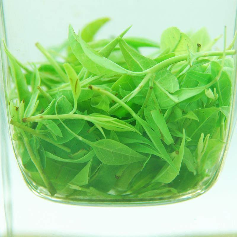 小叶苦丁茶2025新茶青山绿水茶叶正品四川宜宾筠连一级野生毛冬青