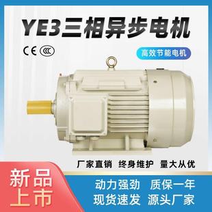 8极三相异步交流电动机1.1W纯铜芯 100L2 店长推荐 机械设备YE3