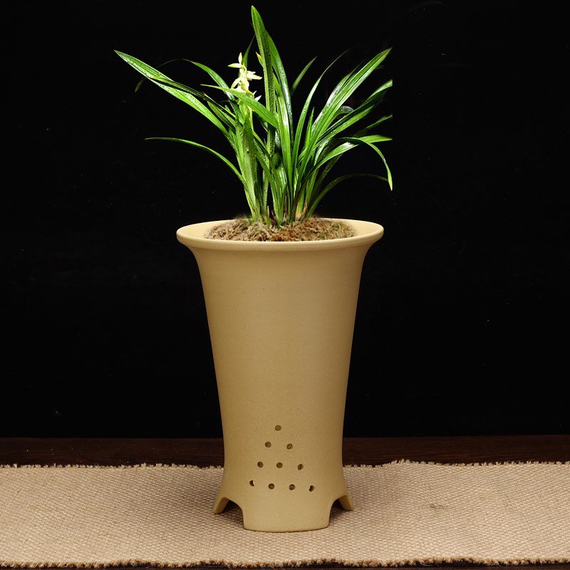 宜兴紫砂兰花盆高盆君子兰蝴蝶兰虎皮兰春兰桌面绿植精品盆景特价