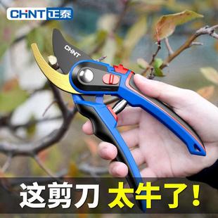 正泰剪枝刀强剪力园花剪修枝果树修剪剪树枝园艺林花艺剪LQP家用