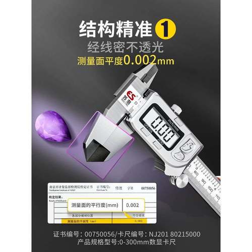德国RTP测子卡尺高精度游油标卡尺数显工业级珠宝苏文玩电游边标