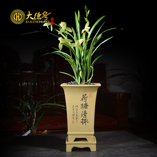 大德号花盆陶瓷大号刻绘紫砂花盆兰花盆吊兰君子兰花专用盆带托盘