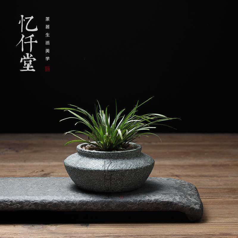 忆仟堂天然手工青石头小花盆微景观文竹金钱多肉植物盆栽桌面摆件