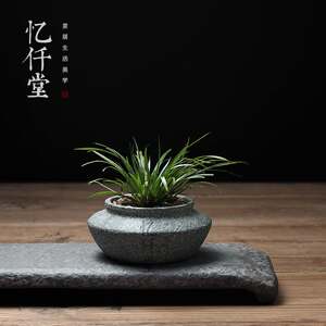 忆仟堂天然手工青石头小花盆微景观文竹金钱多肉植物盆栽桌面摆件