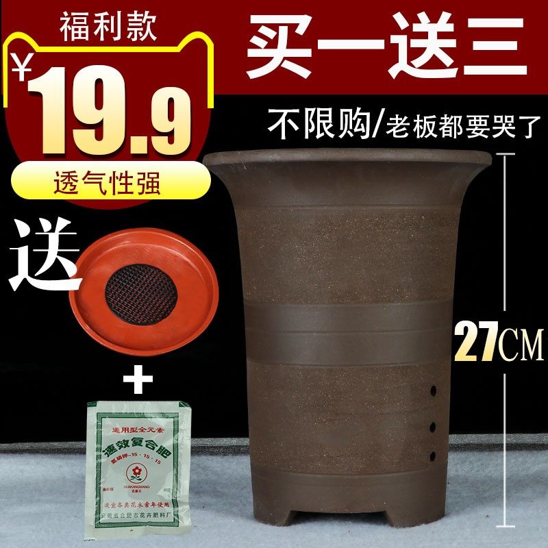 龙渊宜兴粗陶紫砂盆大口径兰花盆君子兰盆栽陶瓷简约花盆买一送三