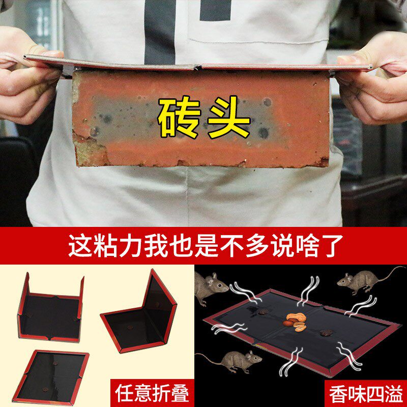 超强黏力粘鼠板超强力老鼠贴物理驱鼠灭鼠器加大加粘家用捕鼠胶