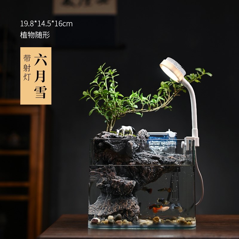 新中式文竹自循环生态小鱼缸家用客厅桌面观赏流水摆件迷你微景观