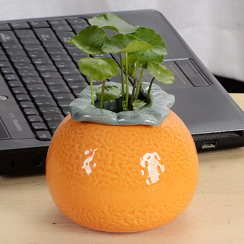 创意大吉大利桔子水培花瓶陶瓷水养绿萝花盆客厅桌面装饰品摆件