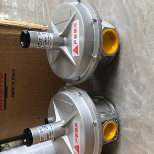 DN40.RG 2MC DN50天然气入口压力1BAR 天然气减压阀