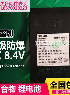 技景techwell星马九合鸿得利泵车遥控器聚合物锂电池充电器DC8.4