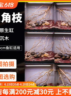 南美原生鱼缸沉木造景鹿角枝杜鹃根大号树根树枝榄仁叶溪流缸装饰