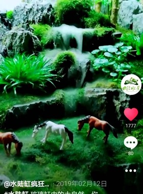 水陆缸材料超市造景雾化器雾化仓青龙石松皮石轻石水苔赤玉土