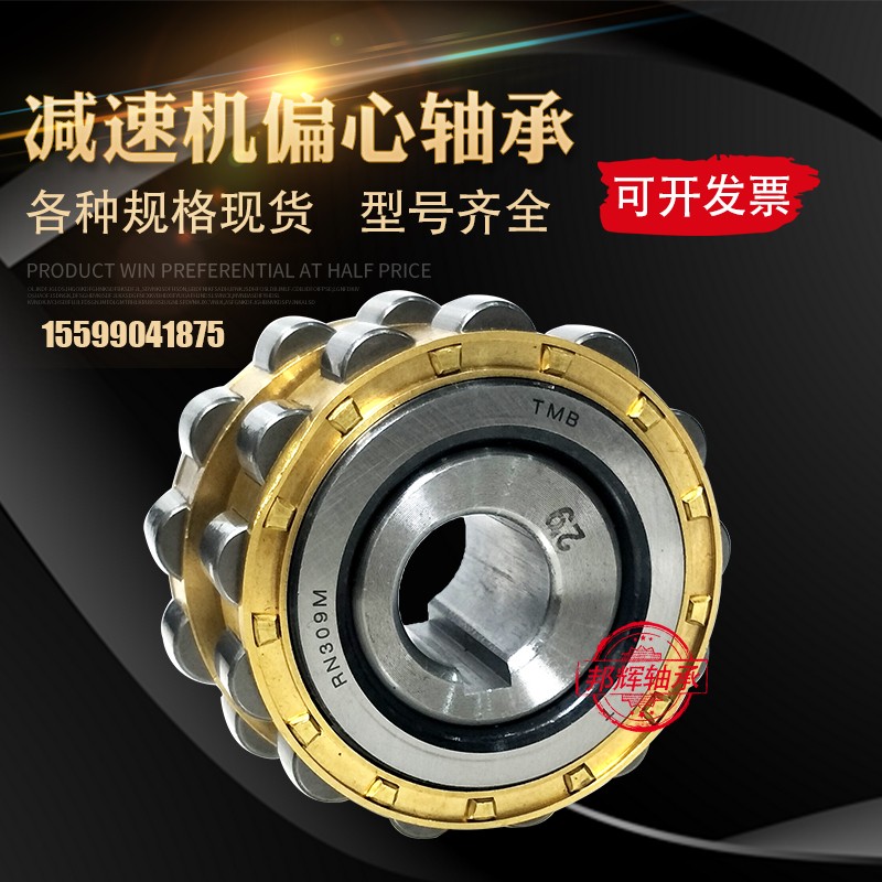 TMB天马减速机偏心轴承RN206 205 307 328 309 312 222 219 204 M