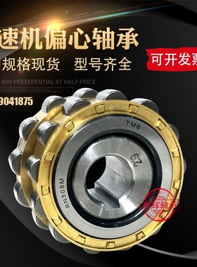 TMB天马减速机偏心轴承RN206 205 307 328 309 312 222 219 204 M