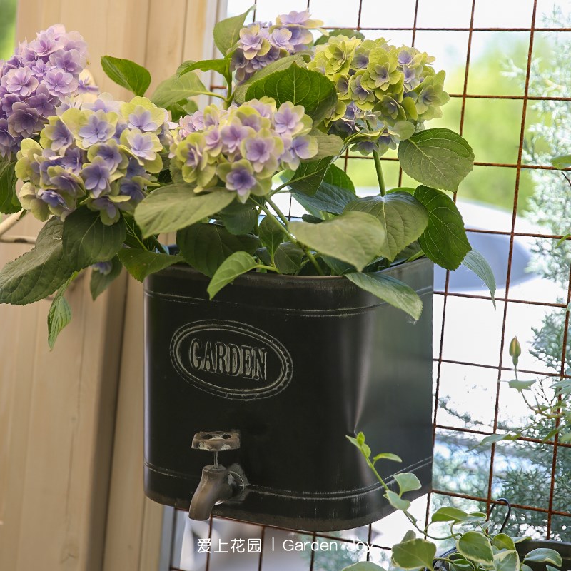 爱上花园丨园艺杂货 铁艺铁皮花桶 水龙头壁挂桶铁皮花盒CARDEN