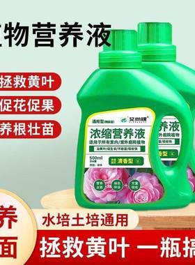 植物营养液通用型水花浓缩养营花养DEY液花卉通用肥肥铜钱水培养